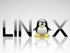 Linux是什么？它是哪個國家開發的