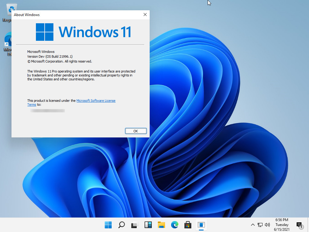 Windows 11 专业初体验版（内含安装包和汉化包）V2021