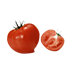 番茄花園 Ghost XP SP3 穩定專業版 V2021.10
