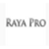 Raya pro(ps扩展面板插件) V2.0 官方安装版