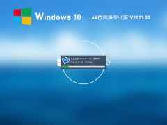 Windows10 64位纯净专业版 V2021.03