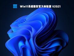 Win11系统微软官方体验版 V2021