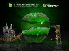 青苹果系统 Ghost WinXP Sp3 极速纯净版 V2021.11