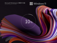Windows 11 中文企业版 V2023.05