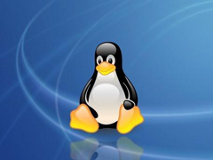 Linux moreʹã