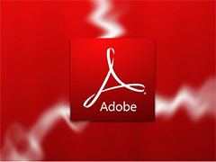Adobe Flash©
