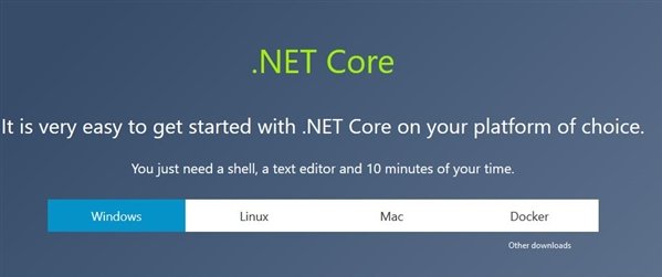 .Net Core3.1