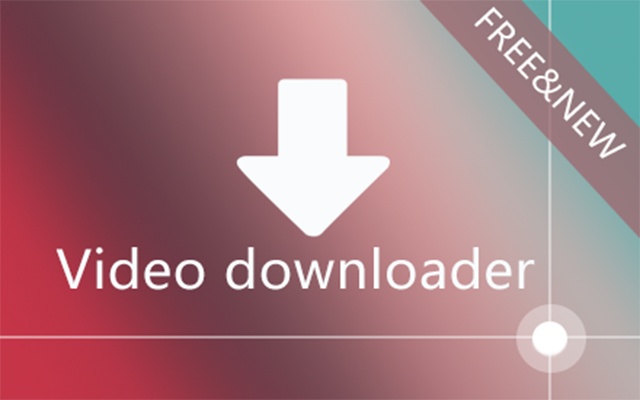 Video Downloader rofessional