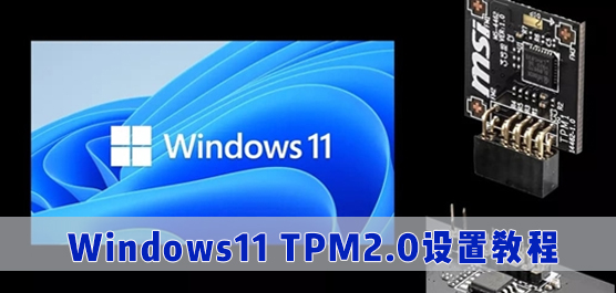 Win11 TPM_Win11 TPM2.0̳_Win11TPMĽ