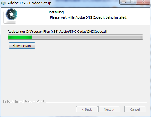 Adobe DNG Codec