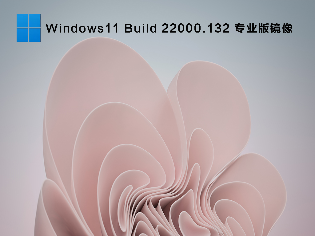 微软Win11 22000.132测试版iso镜像 V2021.08