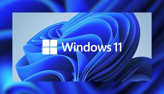 Windows 11 Insider Preview Build 225