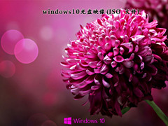 Windows10ӳ V2022.02 ¹ٷ