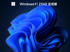 Windows11 21H2 ʽ V2022.03