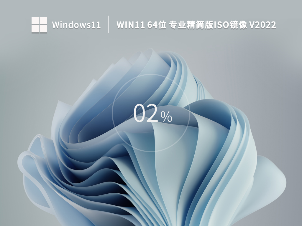 Windows11 64位 专业精简版 (21H2,可更新) V2022