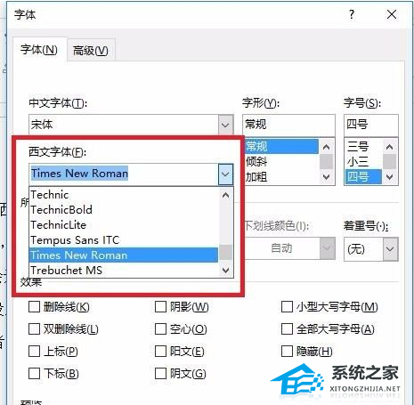 Word软件怎么进行中文字体和西文字体的切换？