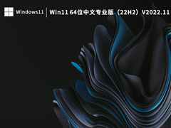 Win11 64位中文专业版（22H2）V2022.11