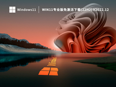 Win11專業版免激活下載(22H2) V2022.12