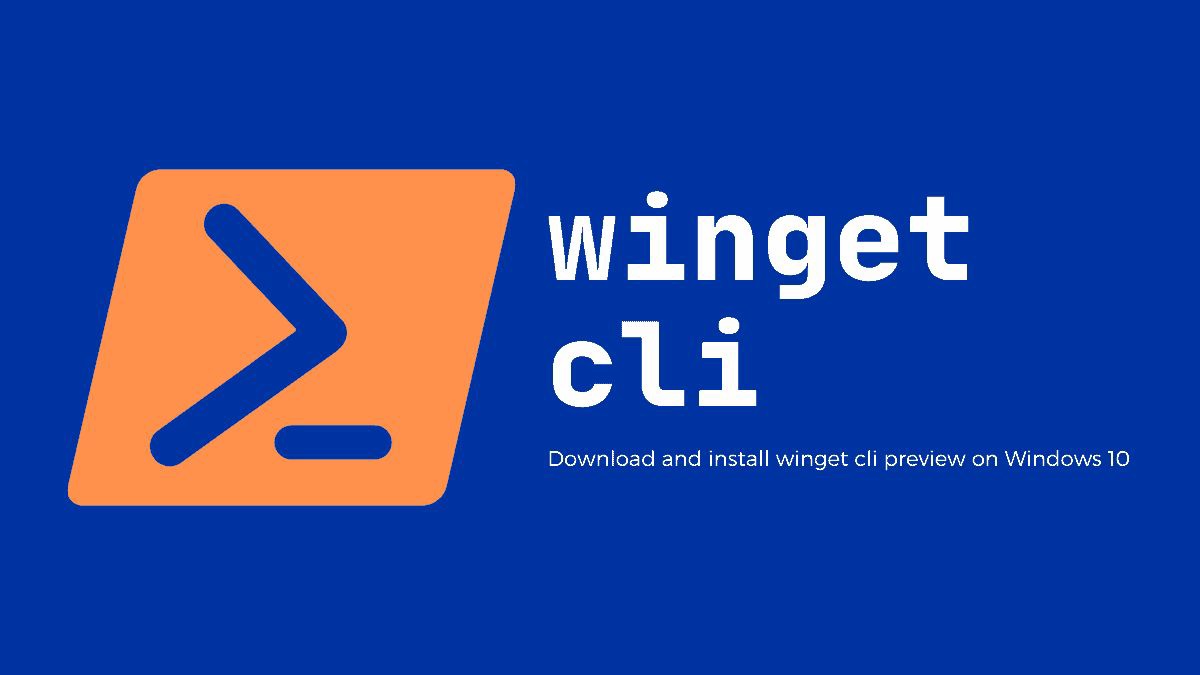 ΢ WinGet 1.4  BUG