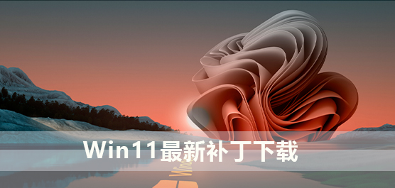 Win11²_Win11_Win11ٷ