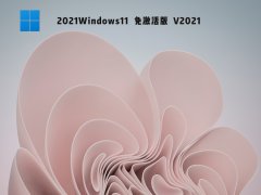 2021Windows11 ⼤ V2021