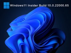 Windows11 Insider Build 10.0.22000.65KB5004745V2021
