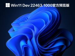 Win11 Dev 22463.1000ٷԤ V2021.09.23
