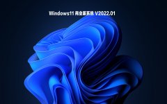 Windows11 ҵϵͳ V2022.01