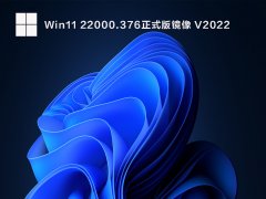 Windows11最新版本号 V2022.01