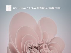 Windows11 DevԤiso V22610.1