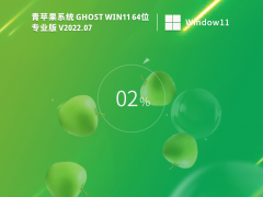 ƻϵͳ Ghost Win11 64λ רҵ V2022.07