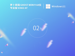 ܲ԰ Ghost Win11 64λ רҵ V2022.07