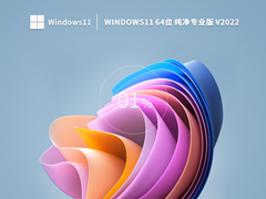 Windows11 21H2 64λ רҵ V2022