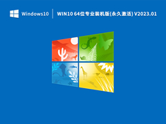 Win10 64位专业装机版(永久激活) V2023.01