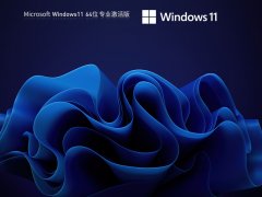Windows11最新版22H2专业激活 V2023