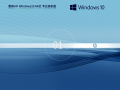 ձʼǱ Windows10 64λ רҵ